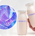 Bacillus subtilis HU58™